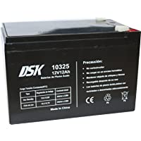 Los mejores  - DSK- Batería Plomo Acido 12V 12 Ah- Ideal Para Alarmas Hogar- Juguetes Eléctricos- Cercads- Balanzas- Negro